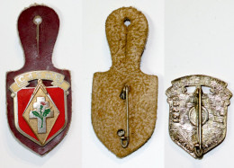 Militaria-FR-terre-insigne De Poche_CDS N°6 Centre De Sélection N°6 – Nancy_Drago G 1251_20-26 - Hueste