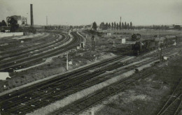 Reproduction - Bifur Sud De Lille - 231 A Laon + 141 TA, 1952 - Treni