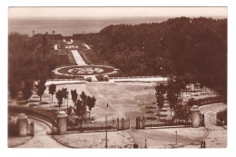 ALGÉRIE // ALGER // JARDIN D'ESSAI (JARDIN D'HIVER) - Alger