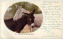 When Shall We Three Meet Again - Esel Donkey - Prägekarte - Donkeys