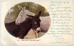 When Shall We Three Meet Again - Esel Donkey - Prägekarte - Burros