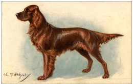 Hund - M. Hollyer - Honden