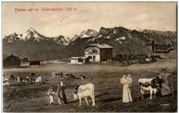 Plateau Auf Der Gaisbergspitze - Other & Unclassified