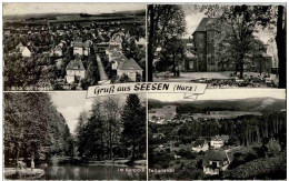 Gruss Aus Seesen - Seesen