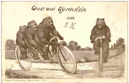 Bern - Bär Fahrrad - Berna