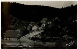 Tanne Im Harz - Sonstige & Ohne Zuordnung