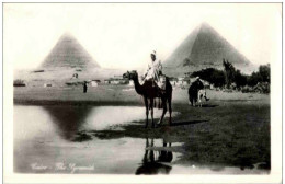 Cairo - The Pyramides - Le Caire