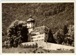 Balgach - Schloss Grünenstein - Sonstige & Ohne Zuordnung