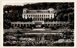 Alger - Le Musee National - Alger