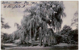 Weeping Willows Public Garden - Other & Unclassified