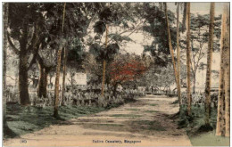 Singapore - Native Cemetery - Singapour