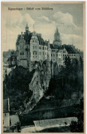 Sigmaringen - Schloss Vom Mühlberg - Sigmaringen
