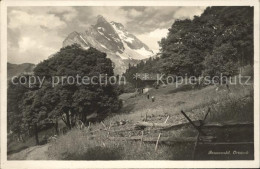 11751581 Braunwald GL Mit Ortstock Braunwald - Sonstige & Ohne Zuordnung