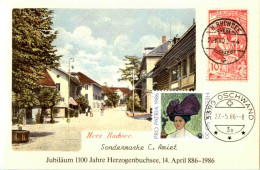 Jubiläum 1100 Jahre Herzogenbuchsee 1986 - Herzogenbuchsee