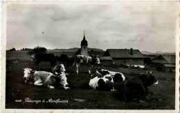 Paturage A Montfaucon - Sonstige & Ohne Zuordnung