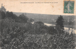 49-CHAMPTOCEAUX-N°2128-E/0247 - Champtoceaux