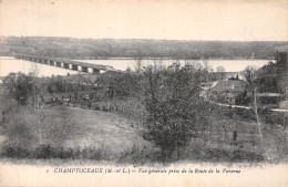 49-CHAMPTOCEAUX-N°2128-E/0241 - Champtoceaux