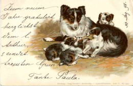 Hunde - Litho - Honden