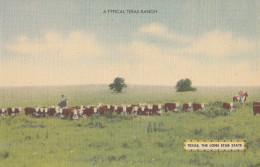 F74.Vintage US Linen Postcard. A Typical Texas Ranch. - Other & Unclassified