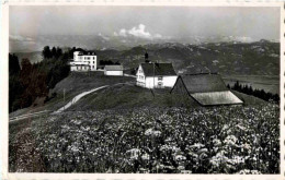 St. Anton - Pension Alpenhof - Autres & Non Classés