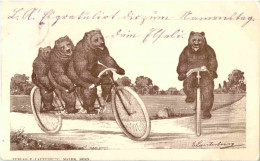 Bern - Bären - Bear - Fahrrad - Autres & Non Classés