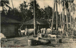 A Bengal Village Scene - India