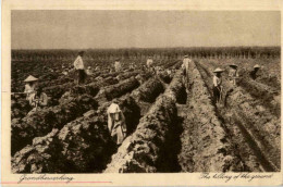 Soerabaia - The Filling Of The Ground - Indonésie