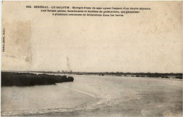 Senegal - Le Saloum - Sénégal