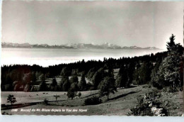 Massif Du Mt. Blanc Depuis La Vue Des Alpes - Autres & Non Classés