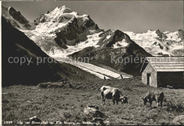 11751291 Rosegtal Alp Mit Piz Roseg Und Sellagruppe Roseg - Autres & Non Classés