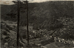 Bad Liebenzell - Calw