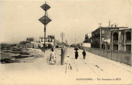 Alexandria - The Semaphone In MEX - Alexandrië