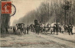 Villers Cotterets - Chasse A Courre - Jagd - Hunting