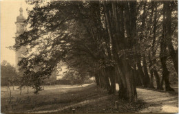 Arnstadt/Thür. - Motiv Aus Dem Schlossgarten - Arnstadt