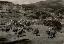 Oberschönau - Other & Unclassified