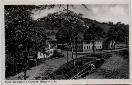 Gruss Aus Seyferts Gasthof - Hallbach In Sachsen - Olbernhau