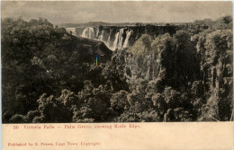 Victoria Falls - Zambie
