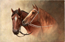 Pferd Horse - Pferde