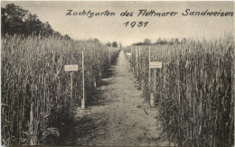 Flettmar - Flettmarer Sandweizen 1931 - Müden Aller - Gifhorn