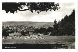 Miehlen Im Taunus - Autres & Non Classés