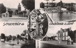 72-CHATEAU DU LOIR-N°2133-H/0245 - Chateau Du Loir
