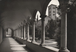 AD225 Ravenna - Zona Dantesca - Chiesa Di San Francesco Vista Dal Chiostro / Viaggiata 1954 - Ravenna