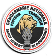 Ecusson PVC GENDARMERIE NATIONALE PISTEUR TRAQUEURSAINT HUBERT BLOODHOUND - Polizei