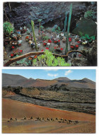 (99). Espagne. Spain. Espana. Iles Canaries. Lot N°3. Lanzarote - Lanzarote