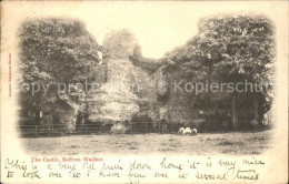 11750658 Saffron Walden Castle Sheeps Uttlesford - Andere & Zonder Classificatie