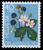 SCHWEIZ PRO JUVENTUTE Nr 1015 Postfrisch S2D42B6 - Unused Stamps