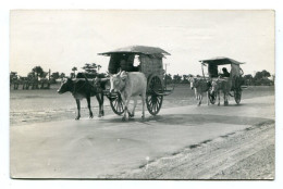 CAMBODGE - CAMBODIA - THE OX-CART - LA CHARRETTE À BŒUFS - Cambodge