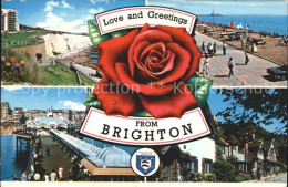 11750534 Brighton Hove Beach Pier Rose Wappen  - Sonstige & Ohne Zuordnung