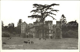 11750271 Acton Burnell Castle Animals Cow Horse Acton Burnell - Shropshire