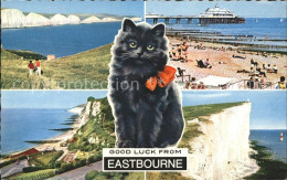 11750269 Eastbourne Sussex Panorama Pier Beach Cat Coast Kreidefelsen  - Autres & Non Classés